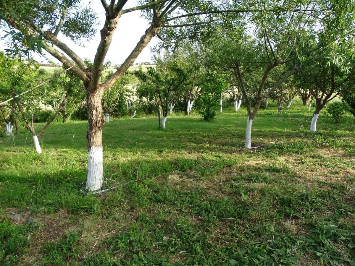 Melenios Houses ซาโมทราคี ภายนอก รูปภาพ