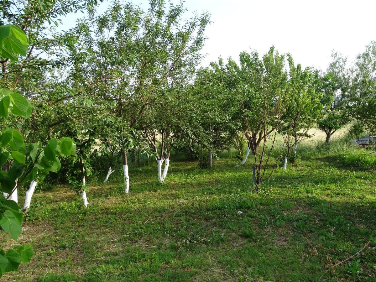 Melenios Houses ซาโมทราคี ภายนอก รูปภาพ